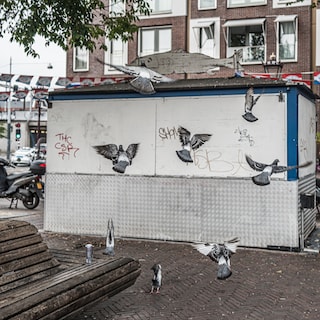 Nuisance policies in Amsterdam can vary from street to street: 'It would be nice to have one clear approach'