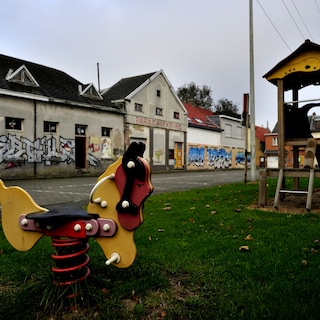 Review: Lies Gallez links poignant mother-daughter story to tree activism