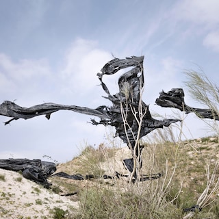Summer in the City group exhibition offers both a retrospective and a preview
