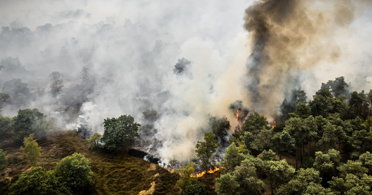 Blushelikopters ingezet bij zeer grote natuurbrand bij Venray, ook brand in duinen Overveen