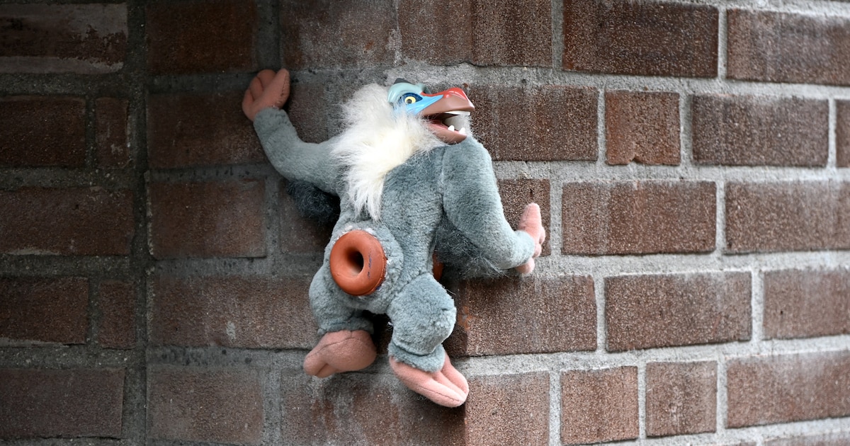 Heb je dit kunstwerk van Streetart Frankey al gespot?