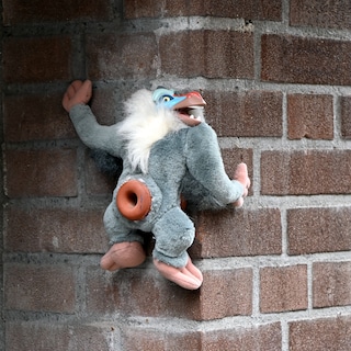 Have you spotted this artwork by Streetart Frankey yet?