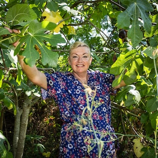 Garden designer Inge Slothouber shares tips on greening your balcony or roof: 'Let's help stop the insect apocalypse'