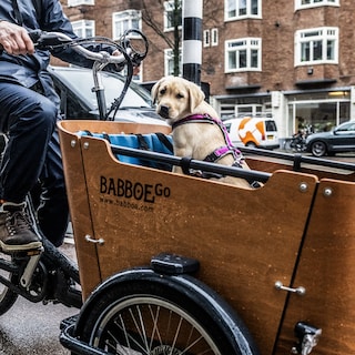 Bicycle manufacturer Accell falters: parent company of Babboe, Batavus and Sparta granted payment deferral in the Netherlands