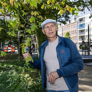 At the Slavery Monument, three 80-year-old beech trees are fighting for their lives due to persistent drought: 'Sad if they are gone soon'
