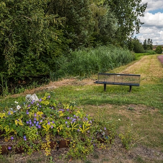 One year after Lisa (17) was murdered: what became of promises to improve safety?
