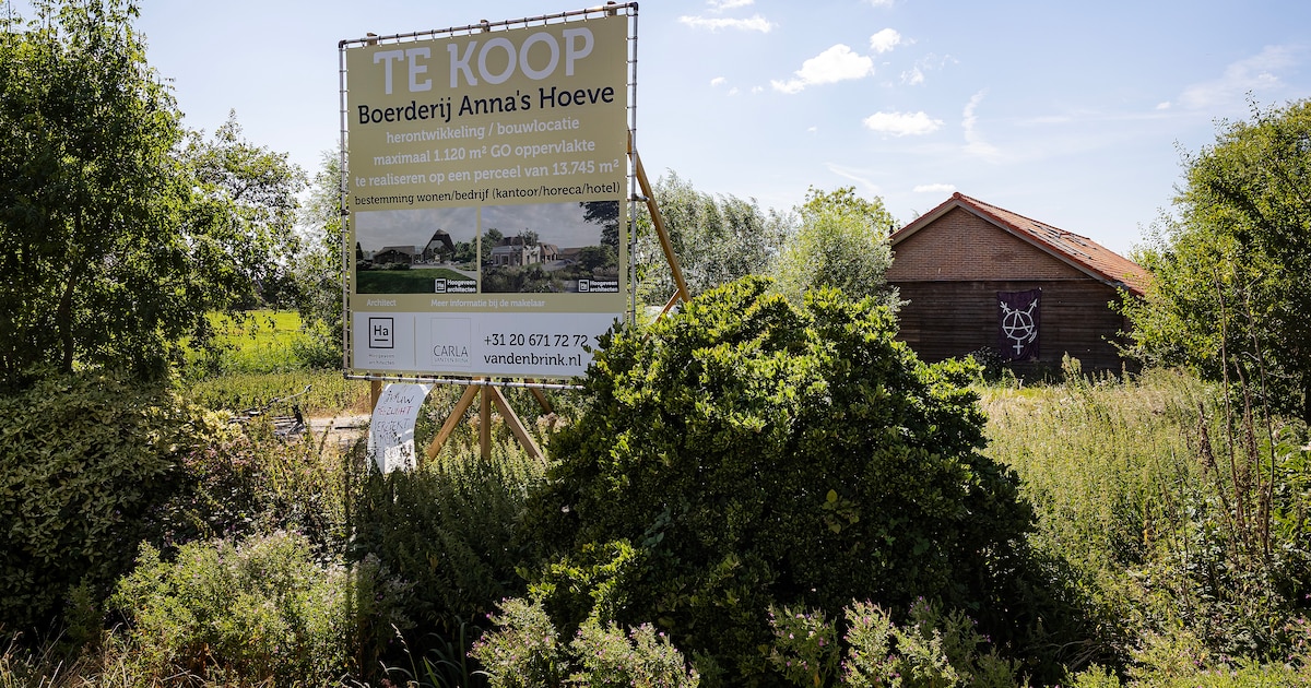 Krakers in miljoenenvilla aan de Amsteldijk mogen blijven van de rechter, maar moeten zich wel ‘beho