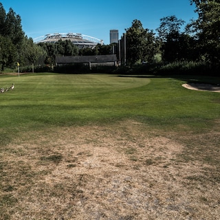 How Amsterdam sports clubs are bracing for drought amid new watering ban: ‘We can’t go hauling buckets ourselves’