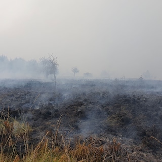 Hundreds of people evacuated due to ‘fiercest wildfire in Belgian history’