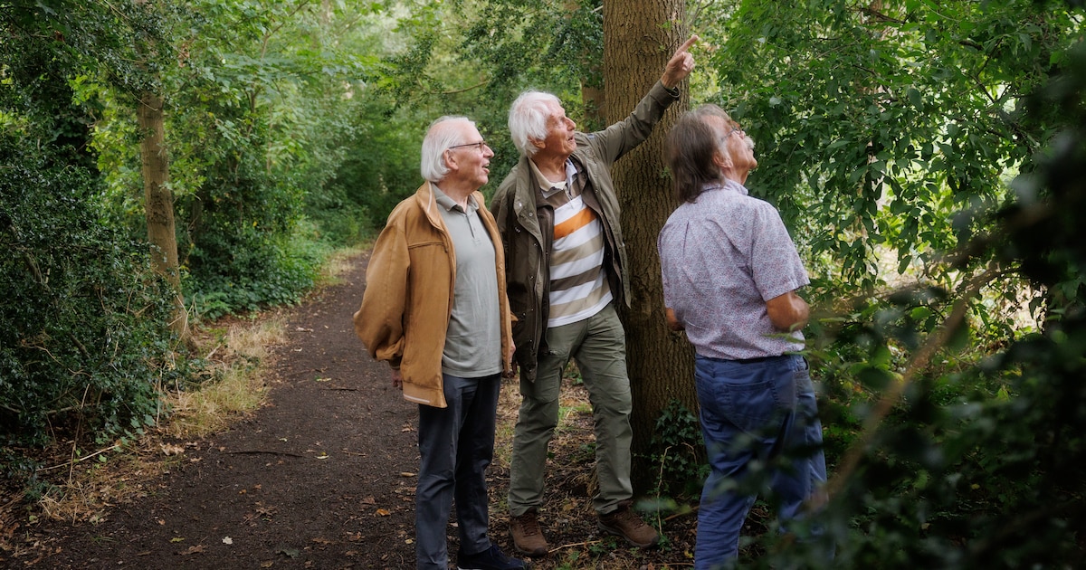 Verzet tegen honderden woningen op de plek van een park: ‘Alsof je gaat bouwen in het Vondelpark’