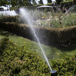 Amstel, Gooi and Vecht Water Authority lifts irrigation bans
