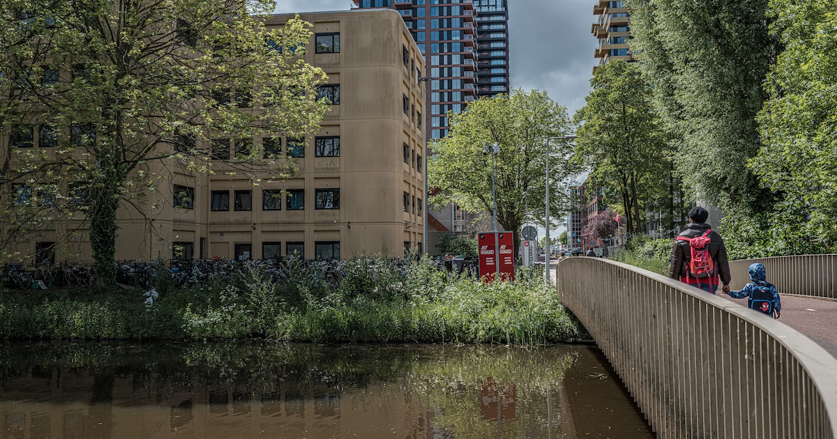 GGD GHOR garandeert gezondheidszorg voor kinderen in asielopvang