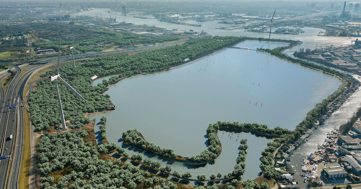 Stroom voor 18.000 nieuwe Amsterdamse woningen dankzij nieuwe windmolens aan de Noorder IJplas: ‘Zul