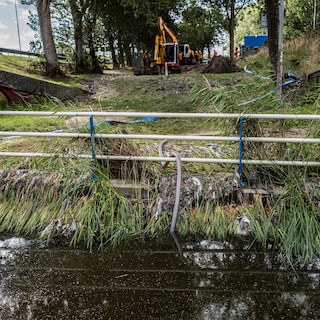 Farmers in rural North fear consequences of polluted sewage water: 'Have our animals ingested toxic substances?'