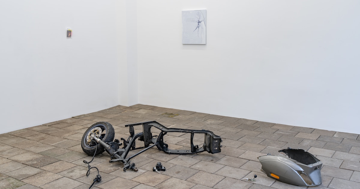 Tentoonstelling A Good Hard Look: ontmoeting van een uiteengereten scooter en een kattenbelletje van