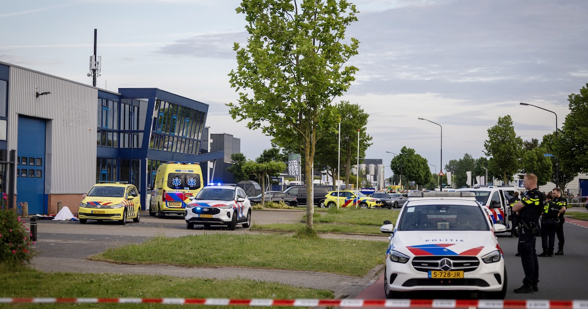 Doodschieten Britse crimineel ‘Tommy’ Parker in loods was noodweer, betogen verdachten; justitie zie