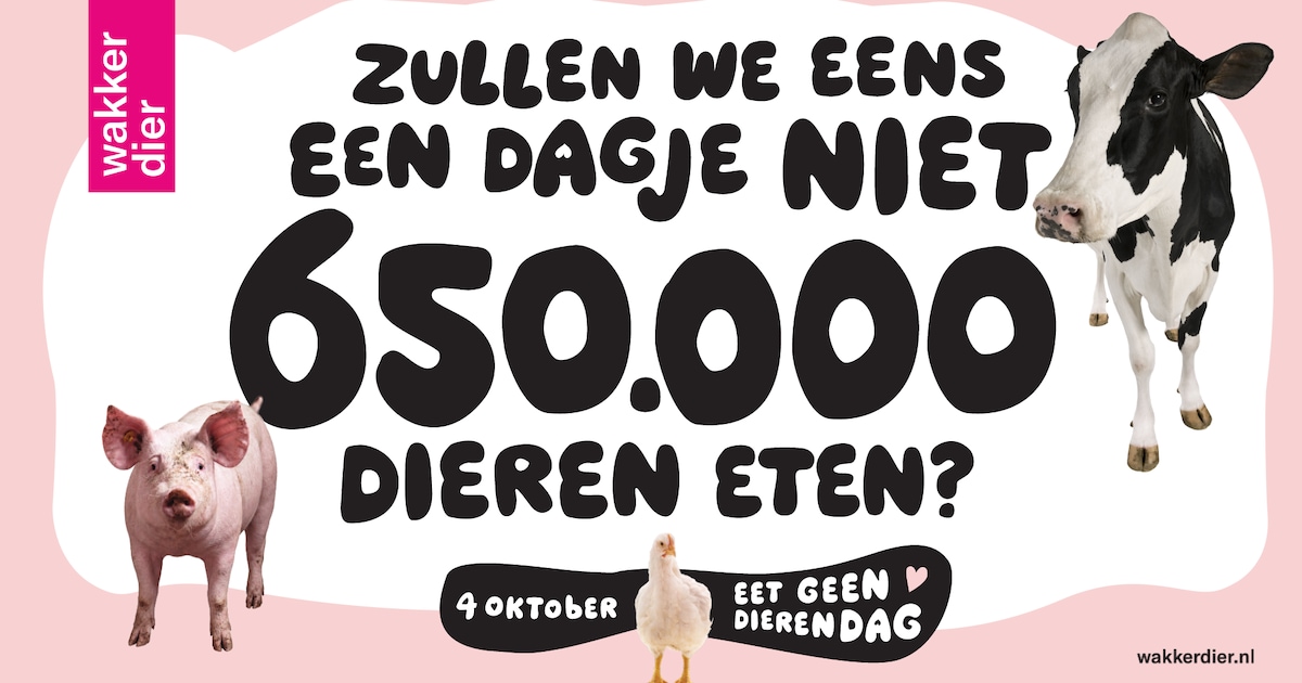NS weert campagne Wakker Dier op stations vanwege ‘te controversiële’ boodschap