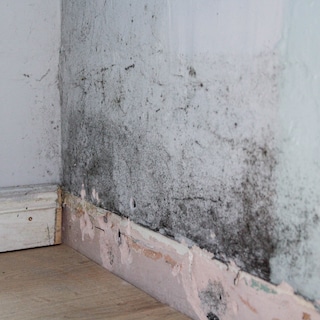 Mold and excessive rent: Amsterdam landlord must repay over 15,000 euros