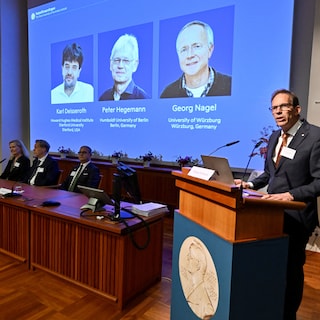 Brain researchers win Nobel Prize in Medicine