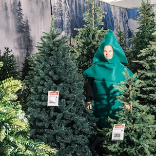 Journalist Lex Boon (42) launched a lawsuit against Santa's official village: I ended up on the blacklist