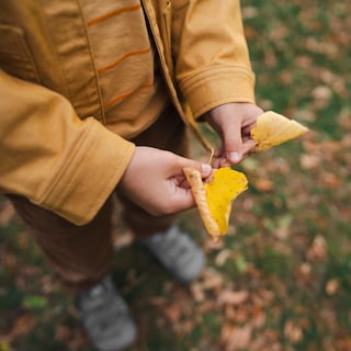 Schaatsen voor 65 cent, appels plukken en springkussens: de leukste uitjes met kinderen in de herfstvakantie