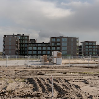 21,000 trees for the construction of 344 homes on Strandeiland, IJburg: ‘The fire department will be visiting more often’