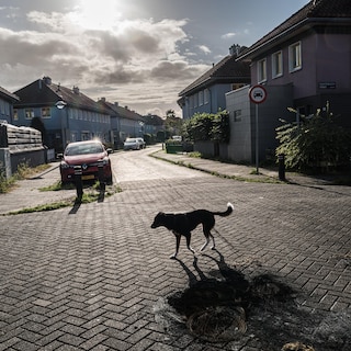 Floradorp residents fear months of unrest: It just feels very unsafe