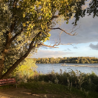 Peace restored in De Oeverlanden cruising area following 11 arrests and talks with young men