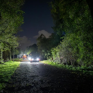 Cyclist (38) dies after tree falls on Sloterweg in Nieuw-West