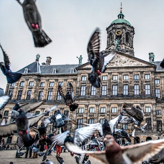 Opinion: Is another tourist in your way? Don't get worked up, make it fun for yourself