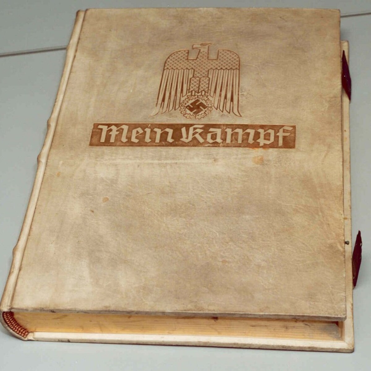 een-zeldzaam-exemplaar-van-