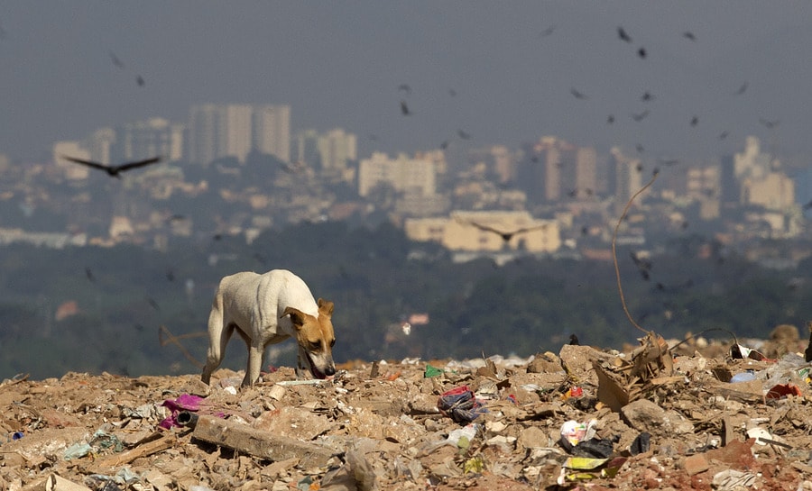 Rio sluit grootste vuilnisbelt van Latijns-Amerika