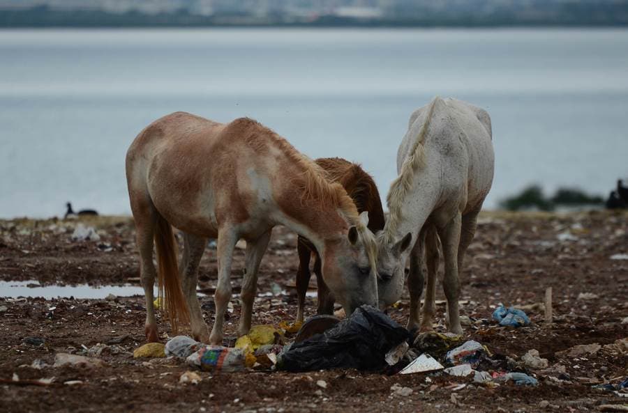 Rio sluit grootste vuilnisbelt van Latijns-Amerika