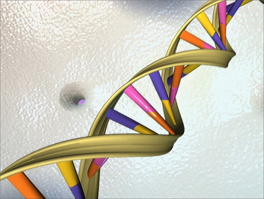 Reconstructie prehistorisch DNA weerlegt kritiek op evolutietheorie ...