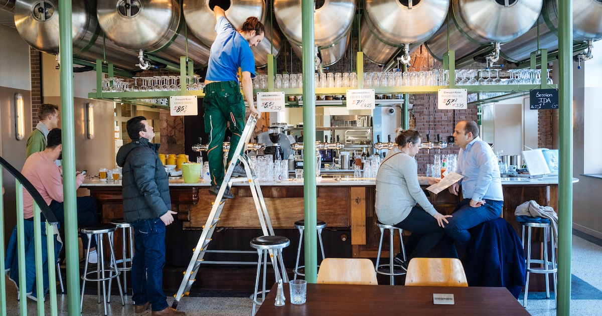 Poesiat & Kater moves its brewery from Amsterdam-Oost to Weesp – and you can be part of the crowdfun